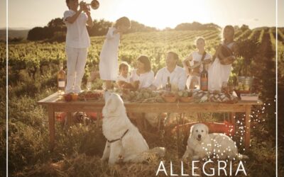 Idée de sortie : Table d’hôte au domaine Allegria